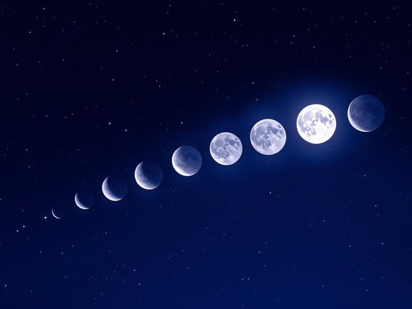 The New Moon