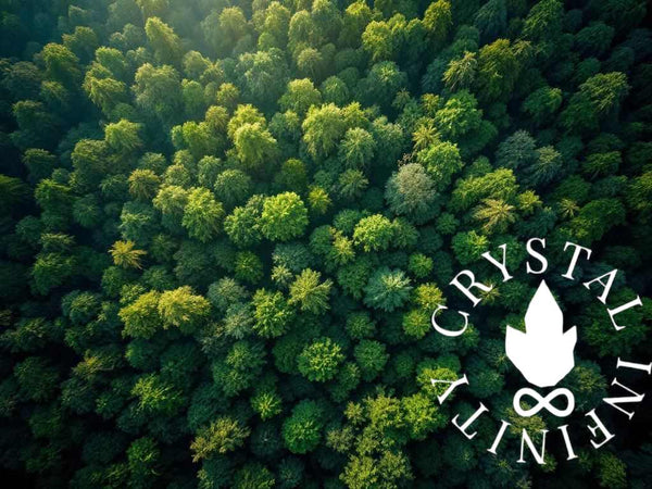 The Color Green