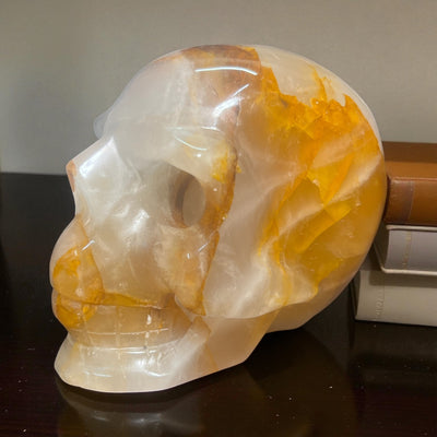 Golden Healer Skull