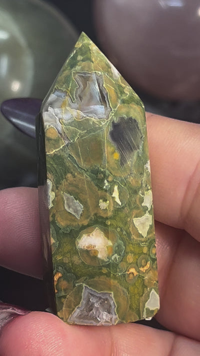 Rainforest Jasper Point