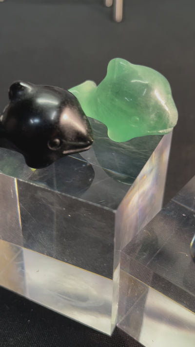 Obsidian Whale Limited Edition